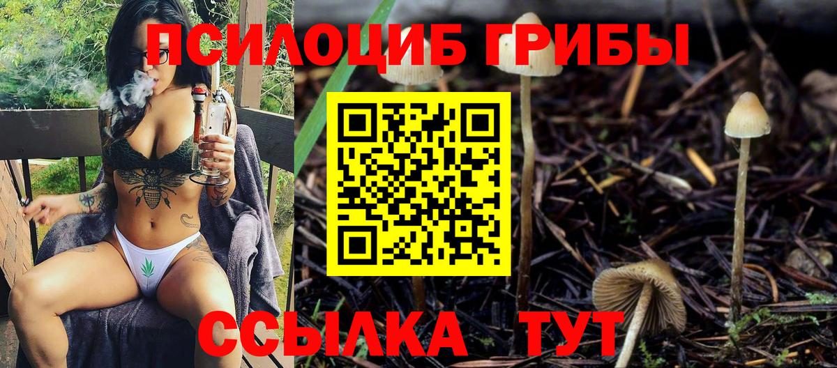 Псилоцибиновые грибы Cubensis Феодосия